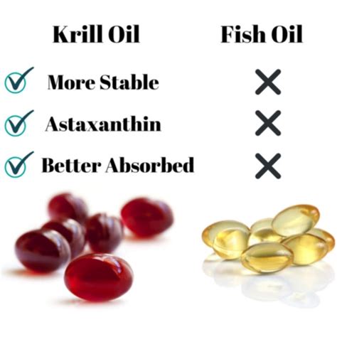 is krill oil safe to take.